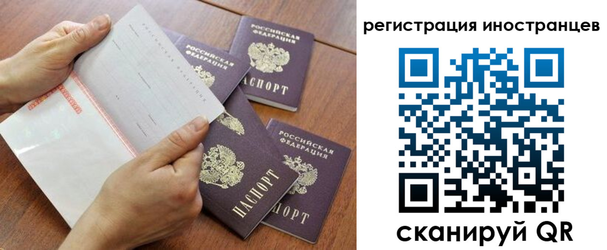 прописка поиск в Карпинске